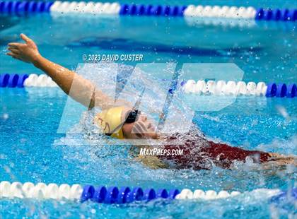 Thumbnail 2 in FCPS Swim and Dive Tri-Meet photogallery.