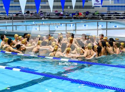 Thumbnail 2 in FCPS Swim and Dive Tri-Meet photogallery.