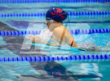 Thumbnail 2 in FCPS Swim and Dive Tri-Meet photogallery.