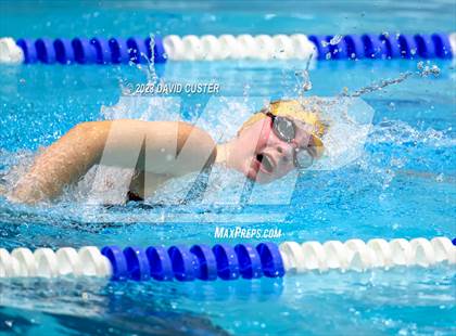Thumbnail 3 in FCPS Swim and Dive Tri-Meet photogallery.