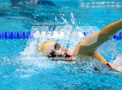 Thumbnail 2 in FCPS Swim and Dive Tri-Meet photogallery.