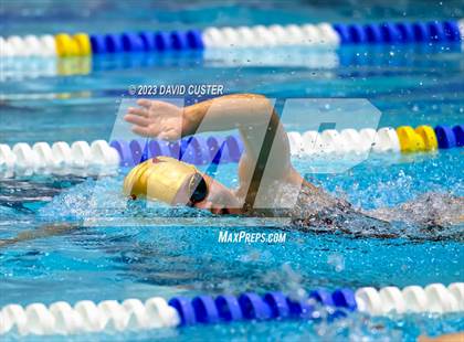Thumbnail 2 in FCPS Swim and Dive Tri-Meet photogallery.
