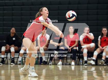 Thumbnail 3 in Albany @ El Cerrito photogallery.