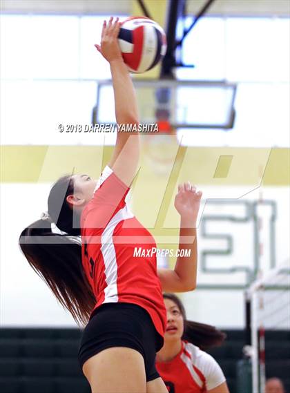 Thumbnail 1 in Albany @ El Cerrito photogallery.