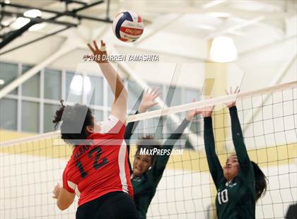 Thumbnail 3 in Albany @ El Cerrito photogallery.