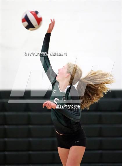Thumbnail 3 in Albany @ El Cerrito photogallery.