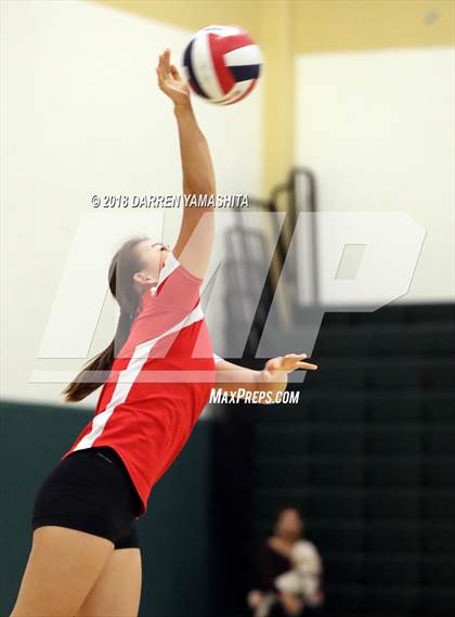 Thumbnail 2 in Albany @ El Cerrito photogallery.