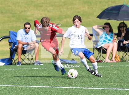 Thumbnail 2 in Carmel Christian vs Providence Day photogallery.