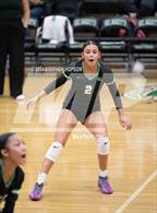 Photo from the gallery " Tracy @ St. Mary's"