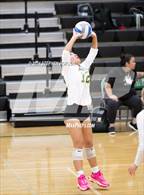 Photo from the gallery " Tracy @ St. Mary's"