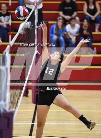 Thumbnail 3 in Windsor @ Cardinal Newman photogallery.