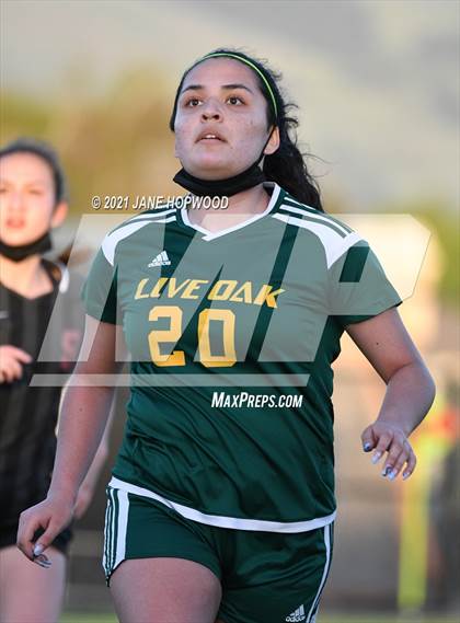 Thumbnail 1 in Live Oak @ Ann Sobrato photogallery.