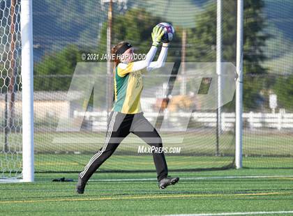 Thumbnail 2 in Live Oak @ Ann Sobrato photogallery.