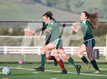 Thumbnail 2 in Live Oak @ Ann Sobrato photogallery.