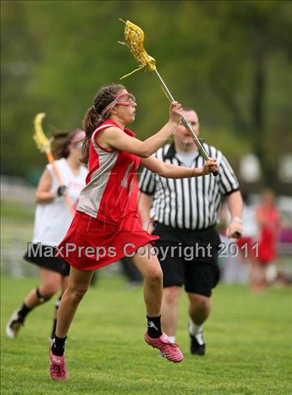 Thumbnail 3 in St. Bernard @ Fitch photogallery.
