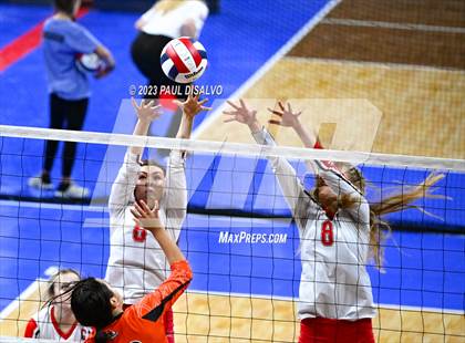 Thumbnail 1 in Centauri vs. Lamar (CHSAA 3A Round 1) photogallery.