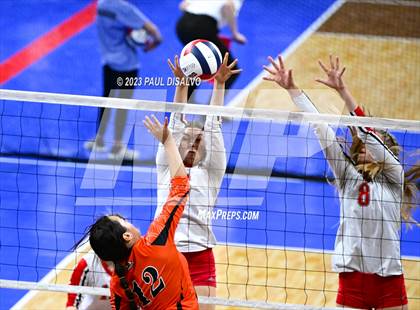 Thumbnail 2 in Centauri vs. Lamar (CHSAA 3A Round 1) photogallery.