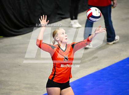 Thumbnail 1 in Centauri vs. Lamar (CHSAA 3A Round 1) photogallery.