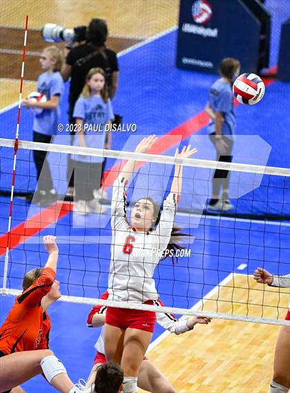 Thumbnail 1 in Centauri vs. Lamar (CHSAA 3A Round 1) photogallery.