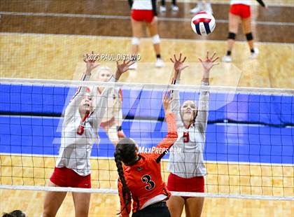 Thumbnail 1 in Centauri vs. Lamar (CHSAA 3A Round 1) photogallery.