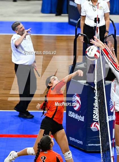Thumbnail 2 in Centauri vs. Lamar (CHSAA 3A Round 1) photogallery.