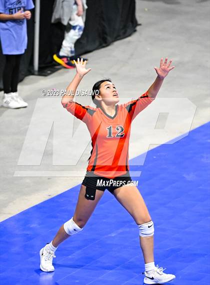 Thumbnail 1 in Centauri vs. Lamar (CHSAA 3A Round 1) photogallery.