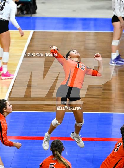 Thumbnail 2 in Centauri vs. Lamar (CHSAA 3A Round 1) photogallery.