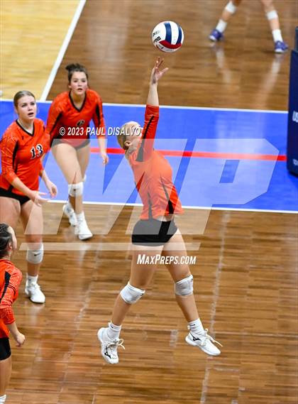 Thumbnail 3 in Centauri vs. Lamar (CHSAA 3A Round 1) photogallery.