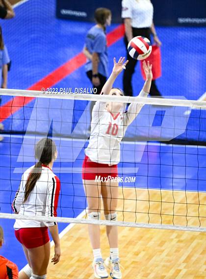Thumbnail 3 in Centauri vs. Lamar (CHSAA 3A Round 1) photogallery.