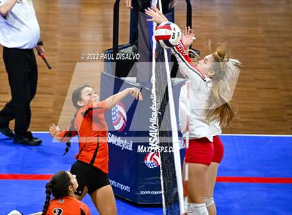 Thumbnail 1 in Centauri vs. Lamar (CHSAA 3A Round 1) photogallery.