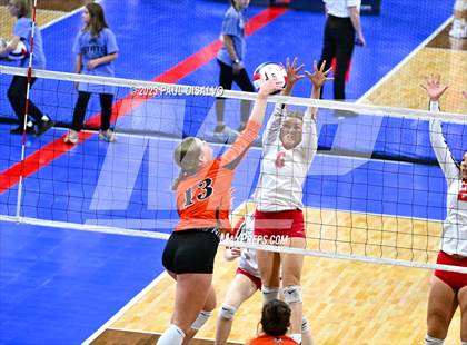 Thumbnail 3 in Centauri vs. Lamar (CHSAA 3A Round 1) photogallery.