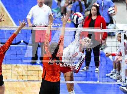Thumbnail 3 in Centauri vs. Lamar (CHSAA 3A Round 1) photogallery.