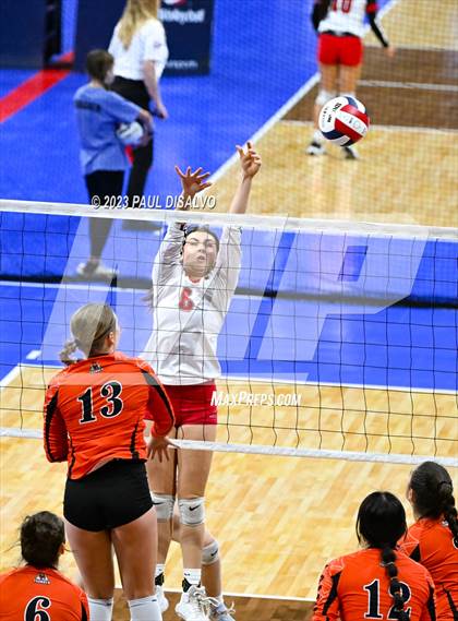 Thumbnail 1 in Centauri vs. Lamar (CHSAA 3A Round 1) photogallery.
