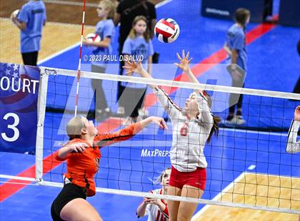 Thumbnail 1 in Centauri vs. Lamar (CHSAA 3A Round 1) photogallery.