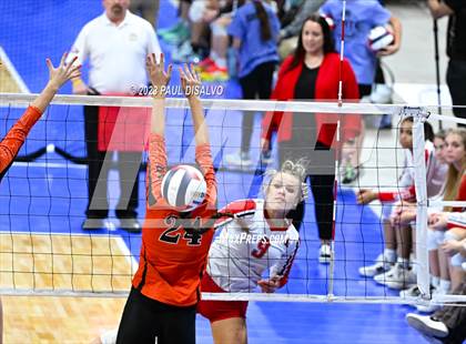 Thumbnail 1 in Centauri vs. Lamar (CHSAA 3A Round 1) photogallery.