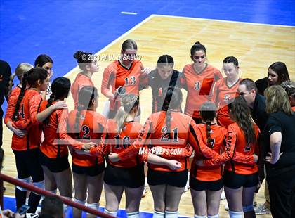 Thumbnail 3 in Centauri vs. Lamar (CHSAA 3A Round 1) photogallery.