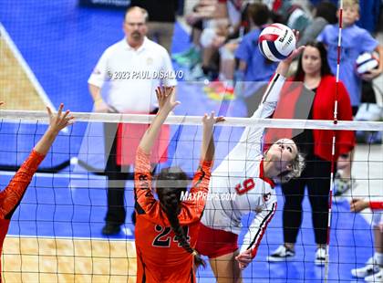 Thumbnail 1 in Centauri vs. Lamar (CHSAA 3A Round 1) photogallery.