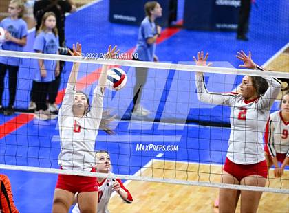 Thumbnail 1 in Centauri vs. Lamar (CHSAA 3A Round 1) photogallery.