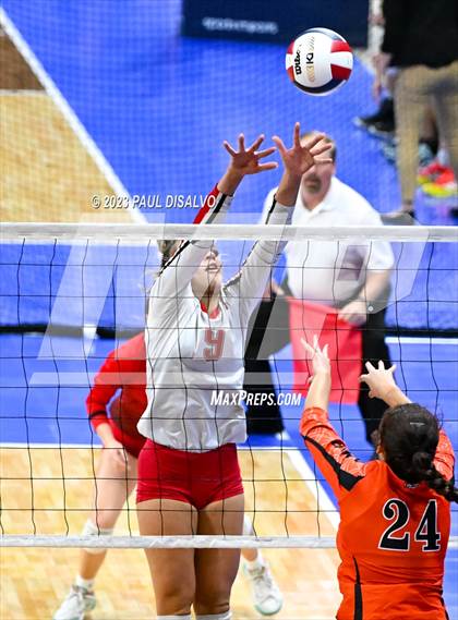 Thumbnail 1 in Centauri vs. Lamar (CHSAA 3A Round 1) photogallery.