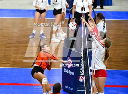 Thumbnail 2 in Centauri vs. Lamar (CHSAA 3A Round 1) photogallery.