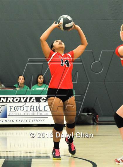 Thumbnail 1 in Mayfield @ Monrovia photogallery.