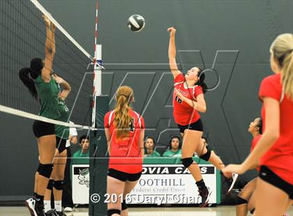 Thumbnail 3 in Mayfield @ Monrovia photogallery.