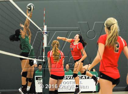 Thumbnail 1 in Mayfield @ Monrovia photogallery.