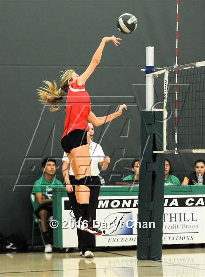 Thumbnail 3 in Mayfield @ Monrovia photogallery.