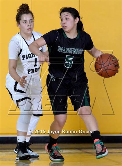 Thumbnail 1 in Ribet Academy vs. Orangewood Academy (CIF D5AA Final) photogallery.