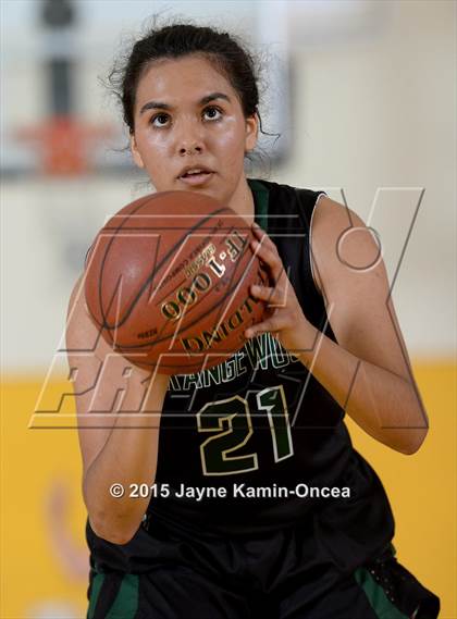 Thumbnail 1 in Ribet Academy vs. Orangewood Academy (CIF D5AA Final) photogallery.