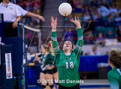 Thumbnail 2 in Delta vs. Silver Creek (CHSAA 4A Playoff) photogallery.