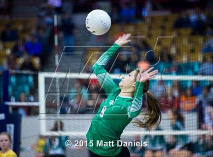Thumbnail 1 in Delta vs. Silver Creek (CHSAA 4A Playoff) photogallery.