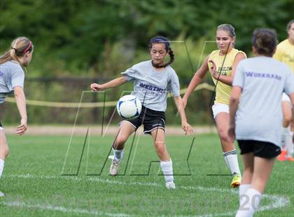 Thumbnail 1 in Westhill @ Joel Barlow photogallery.