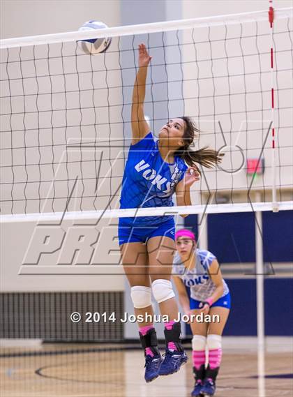 Thumbnail 1 in Lanier @ Brackenridge photogallery.